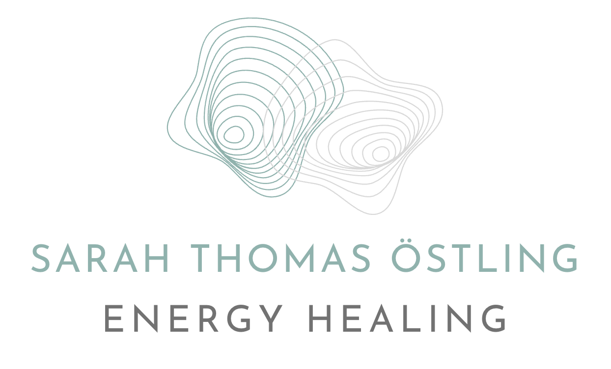 Logo de terapia LNT en Madrid y en LNT majadahonda